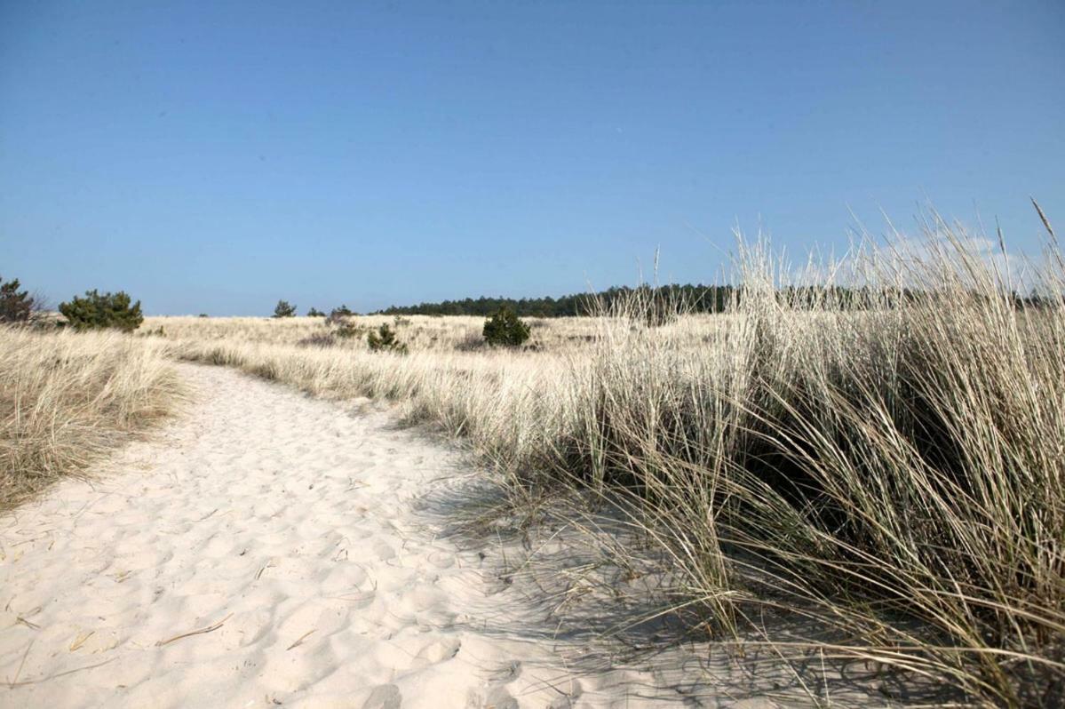 Apartmán La Tulipe Egmond aan den Hoef Exteriér fotografie
