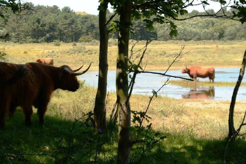 Apartmán La Tulipe Egmond aan den Hoef Exteriér fotografie